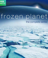 Смотреть Онлайн Застывшая планета / Замерзшая планета /  Frozen Planet [2012]